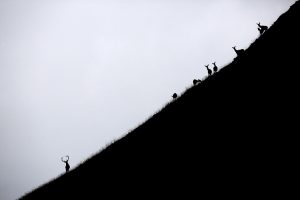 Cerfs en contre-jour ying/yang