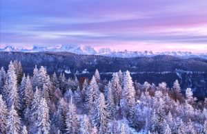 Paysage du Jura vue Mt Blanc