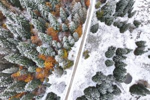 Paysage du Jura tourbière et forêt 2