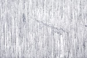 Paysage du Jura forêt enneigée